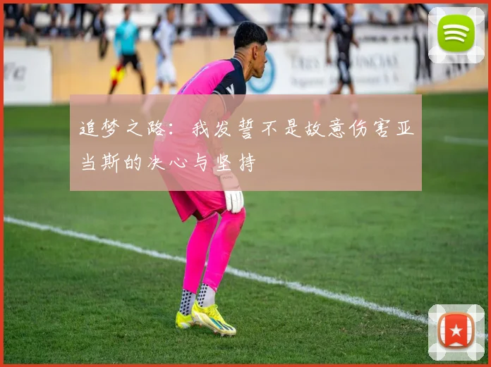 追梦之路：我发誓不是故意伤害亚当斯的决心与坚持