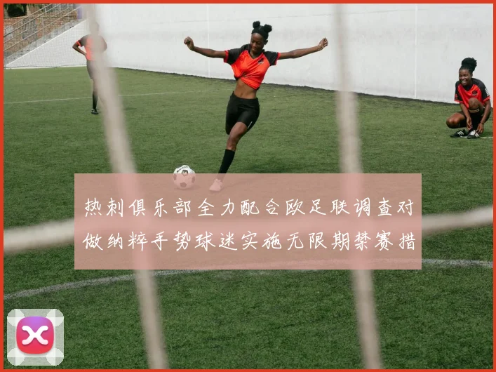 热刺俱乐部全力配合欧足联调查对做纳粹手势球迷实施无限期禁赛措施