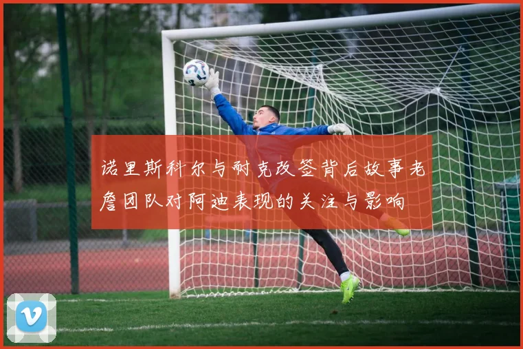 诺里斯科尔与耐克改签背后故事老詹团队对阿迪表现的关注与影响