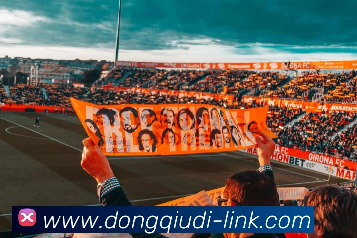 多媒体互动体验